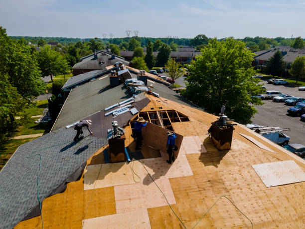 24/7 Emergency Metal Roofing experts in Capron, IL